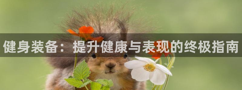 意昂2娱乐