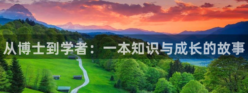 八零电子书txt