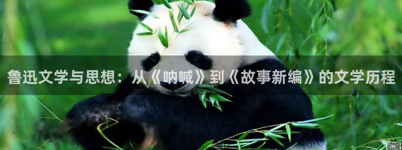 八零电子书手机版下载